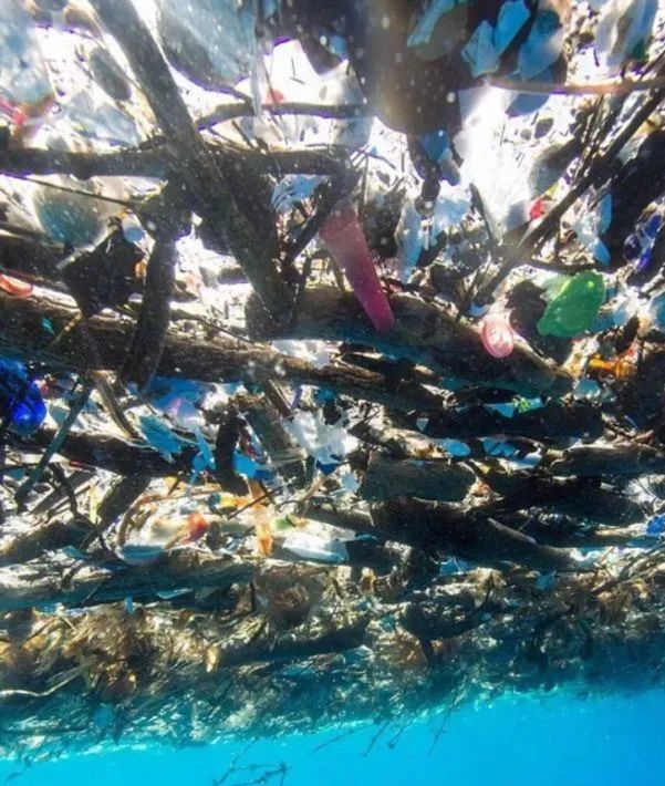 衣服对环境的危害,一件衣服对气质的影响