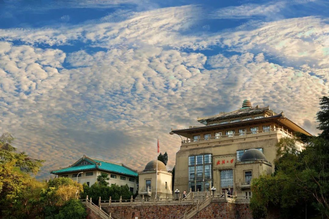 武汉大学哪个专业毕业后工资高,有哪些能够年薪百万的专业