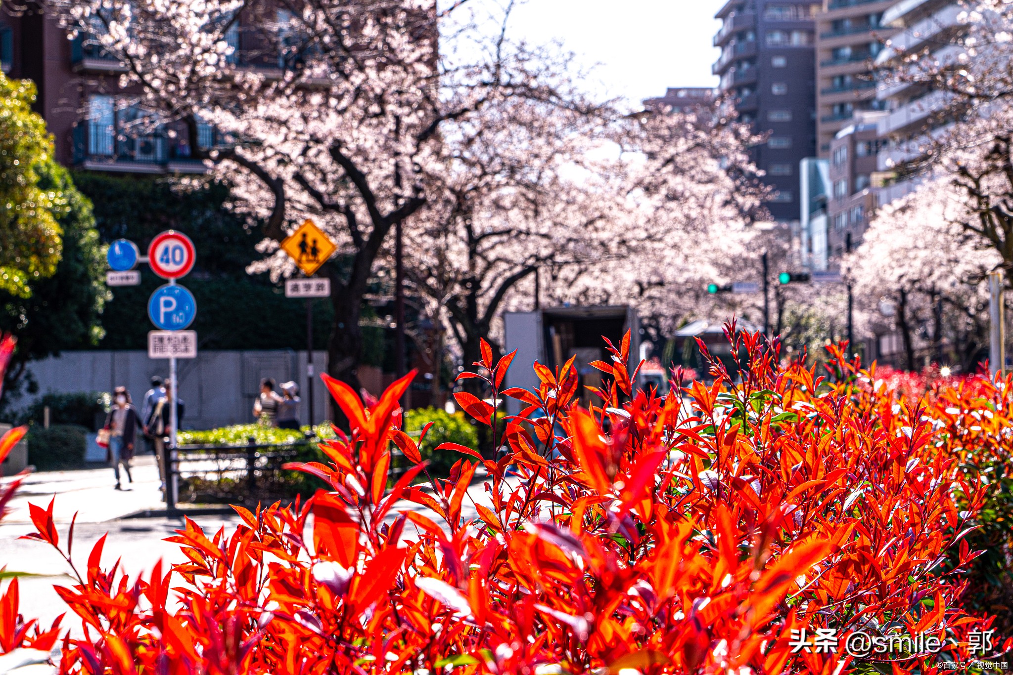 东方巴黎上海旅游攻略,上海欧式旅游攻略