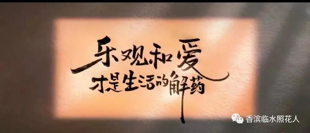 【思维导图“画”作文】王俊廷的看图写话——金色的沙滩（7）