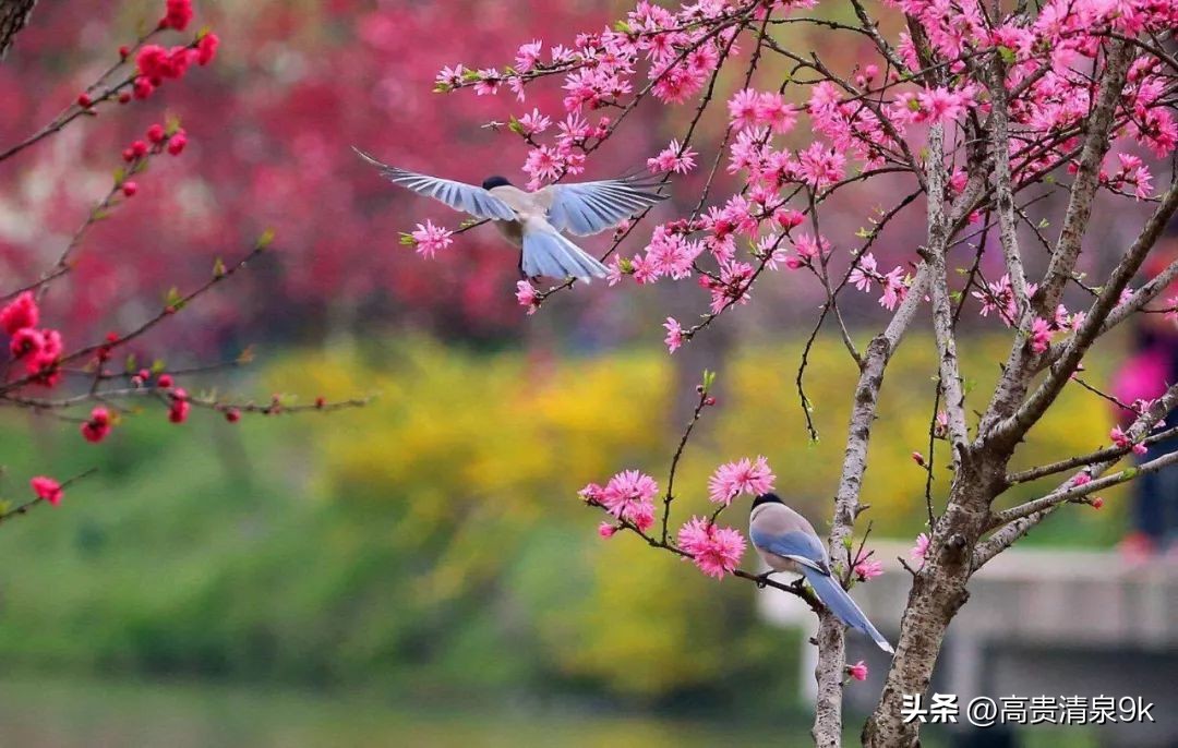 鐭湡鏃呮父鏀荤暐閰掑簵鎺ㄨ崘,涔愬北灏忎紬韪忔槬鎵撳崱鍦扮偣鎺ㄨ崘