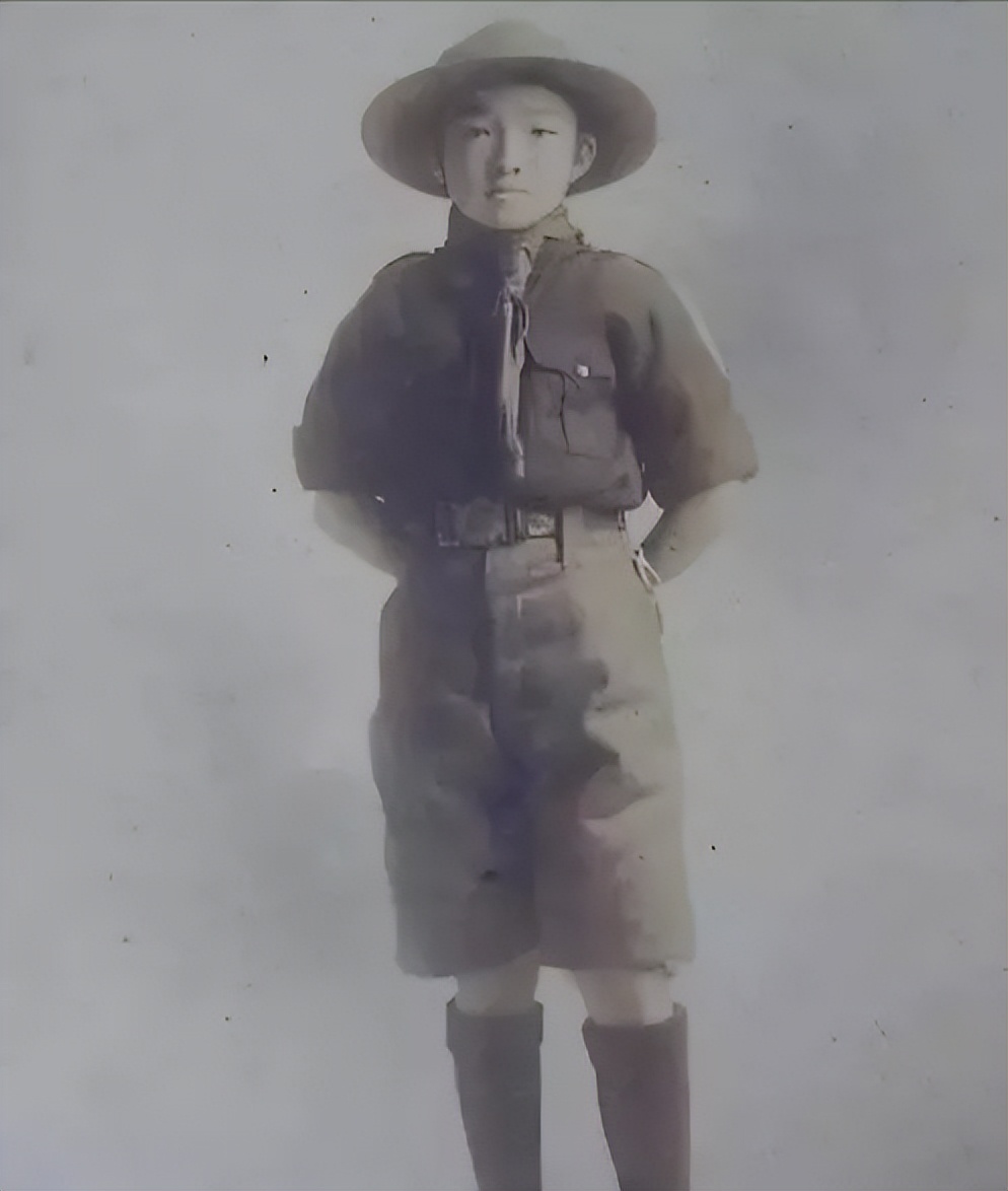 任芷芳现在怎么样,任芷芳现状