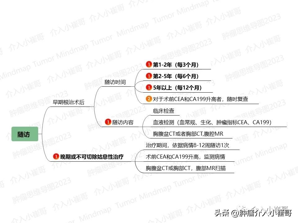 CSCO2023肿瘤思维导图胆囊癌诊疗指南