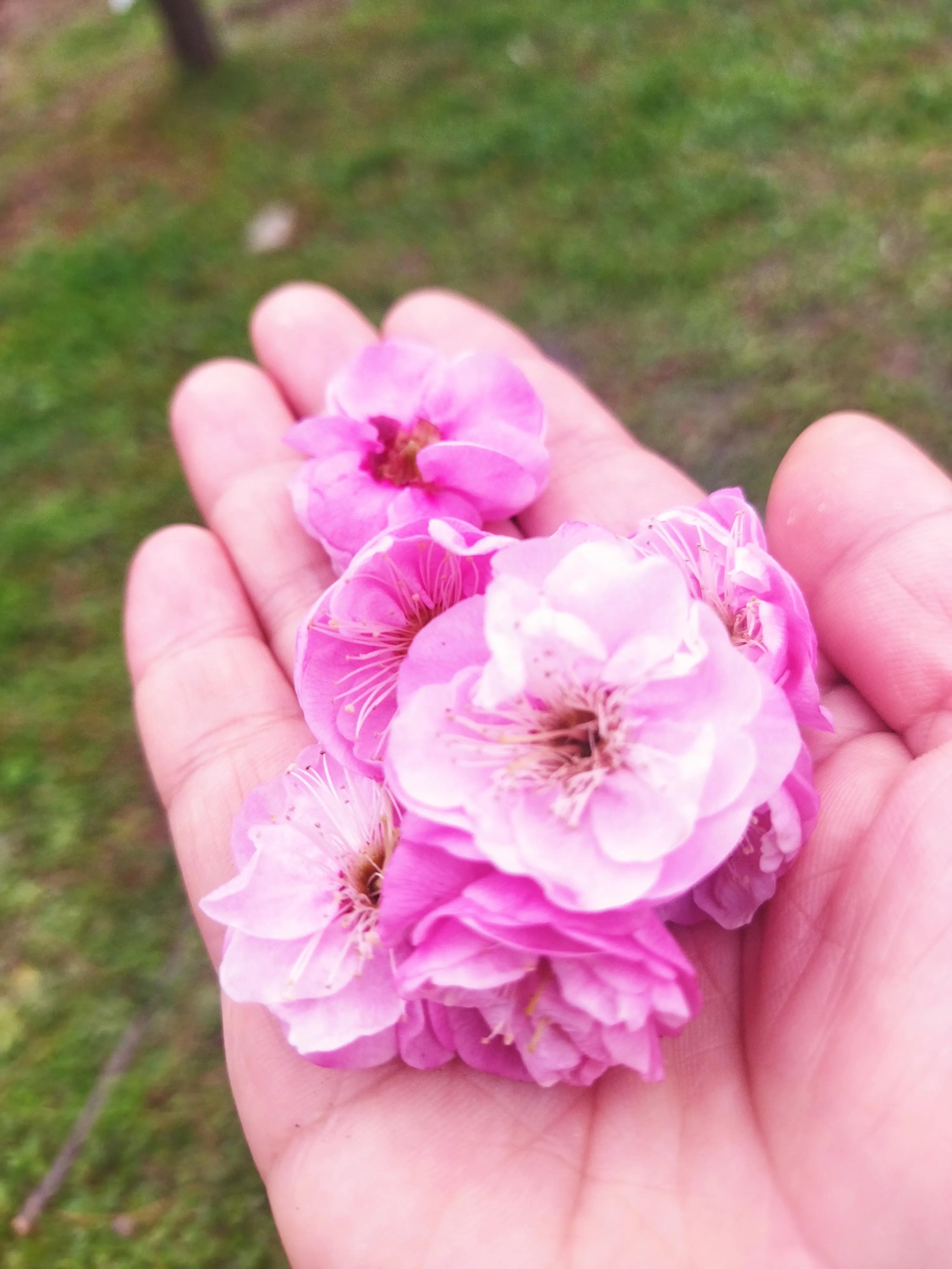 连续失眠怎么办,连续失眠是什么原因造成的