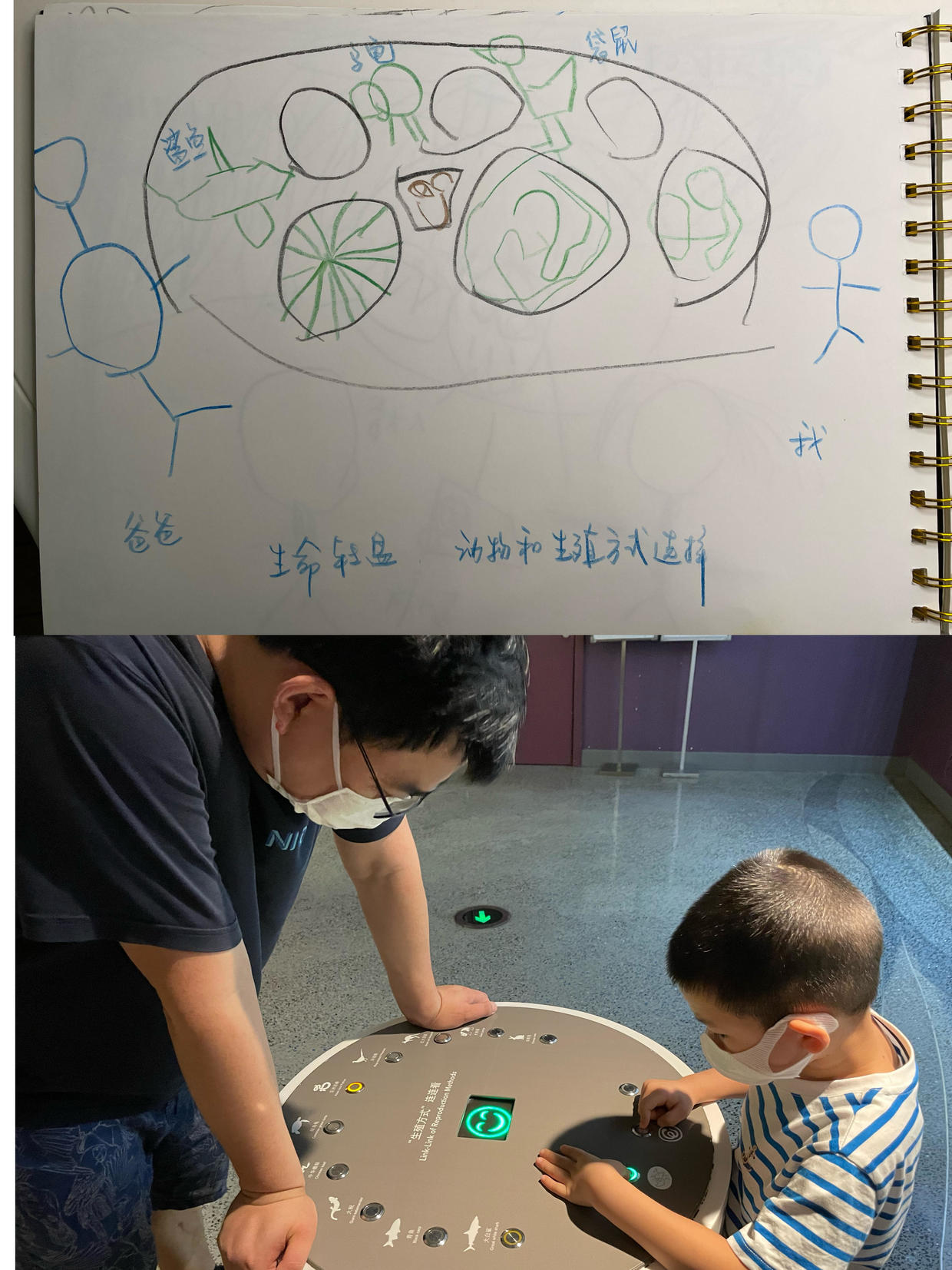 上海自然博物馆参观攻略,上海值得看的自然博物馆