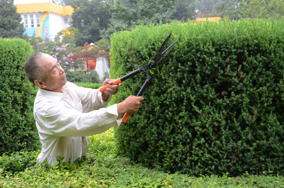 你了解物业管理工作吗,你了解过物业吗怎么回答