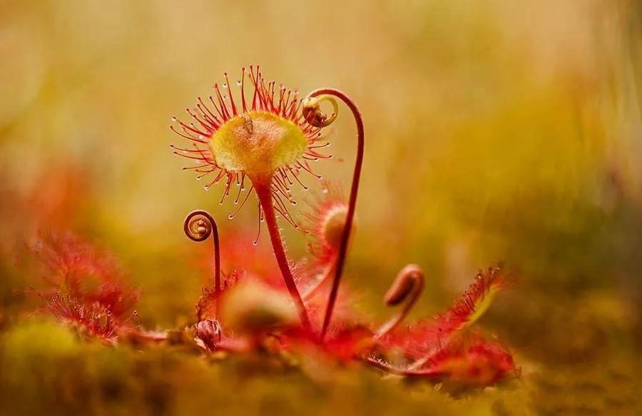 七年之痒短片,七年之痒短篇小说