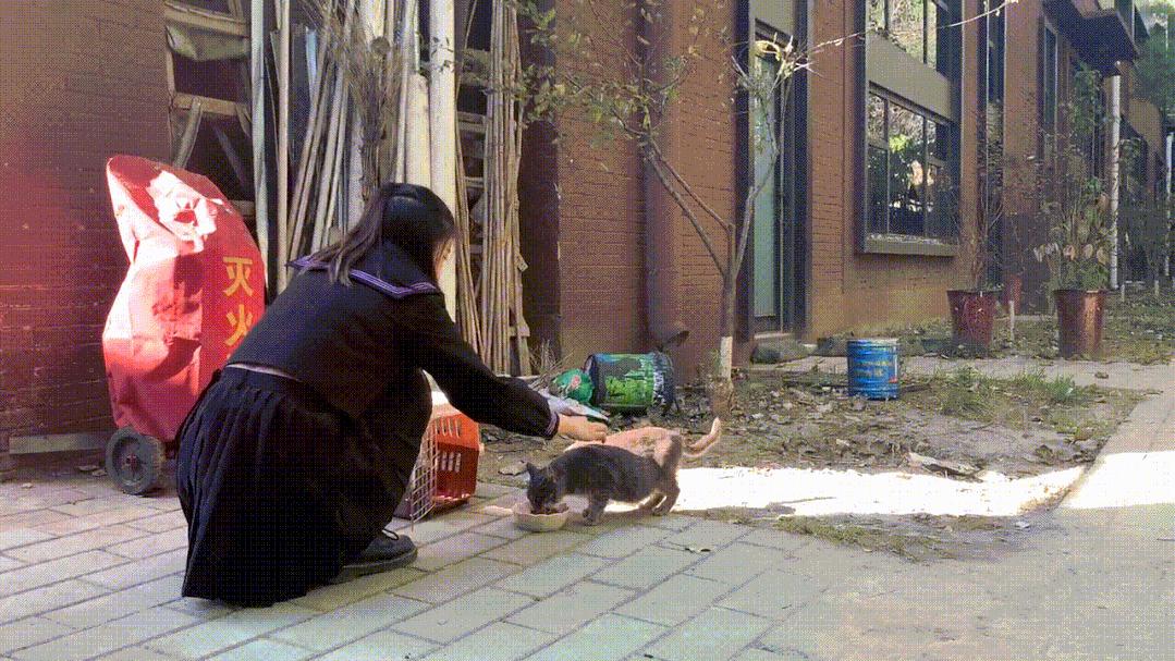 “我还没生，却给猫接生了…”