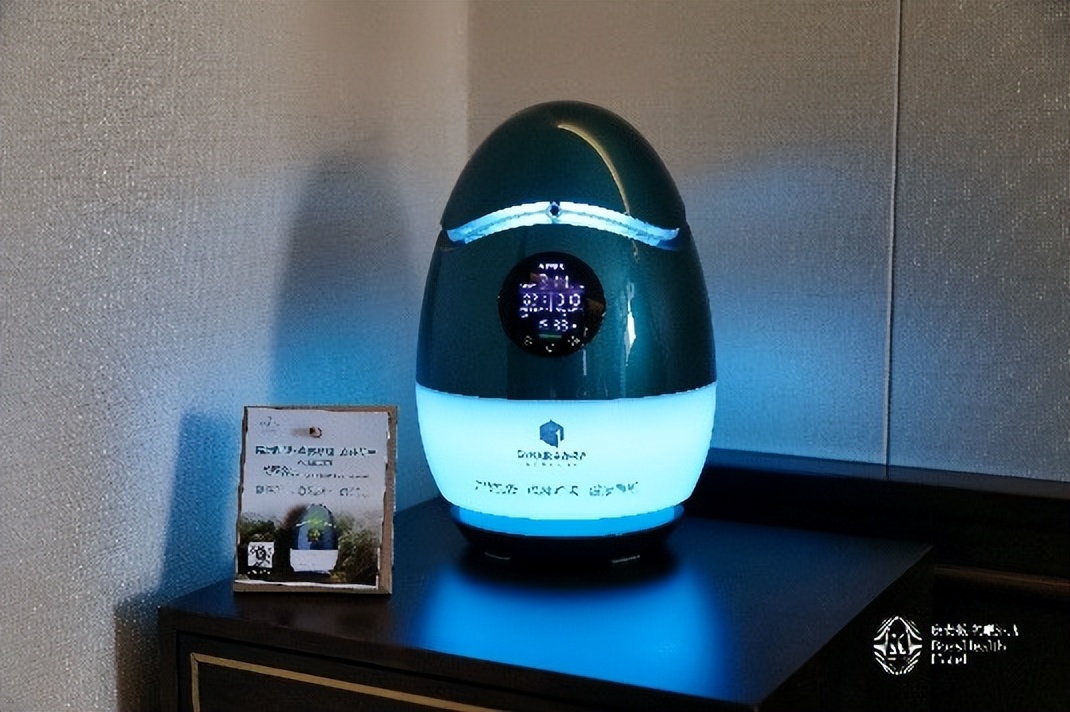 住在海边酒店是什么体验,住海景酒店真实感受