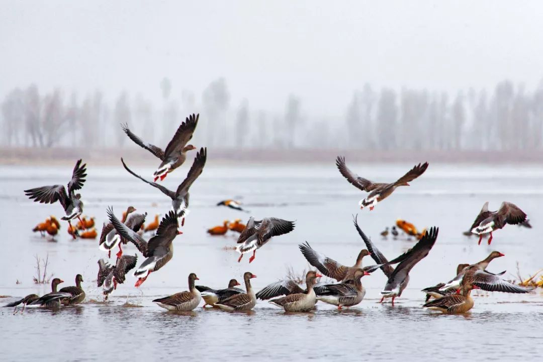 甘肃张掖有多少极致风光,甘肃张掖城市风光