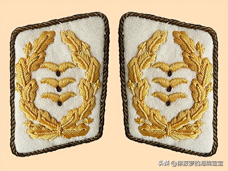 二战德国将军军衔图案,二战德国突击队队长军衔