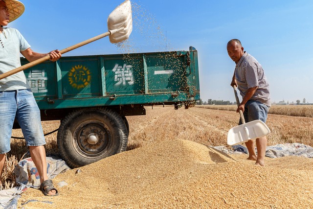 2022年三伏哪天开始哪天结束,2023年入伏三伏时间表共多少天