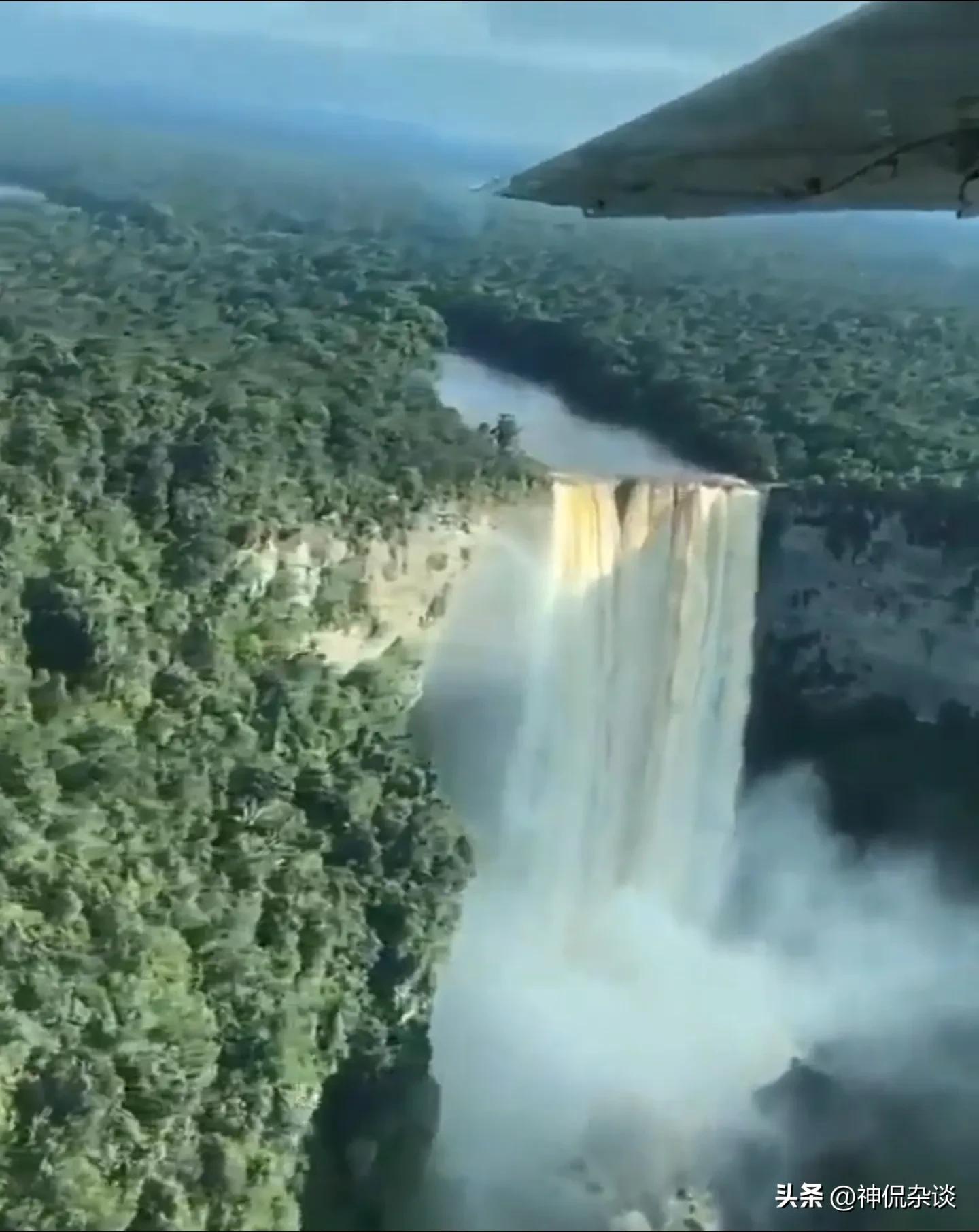 世界上鼻子最长的是什么动物,世界鼻子最长的人