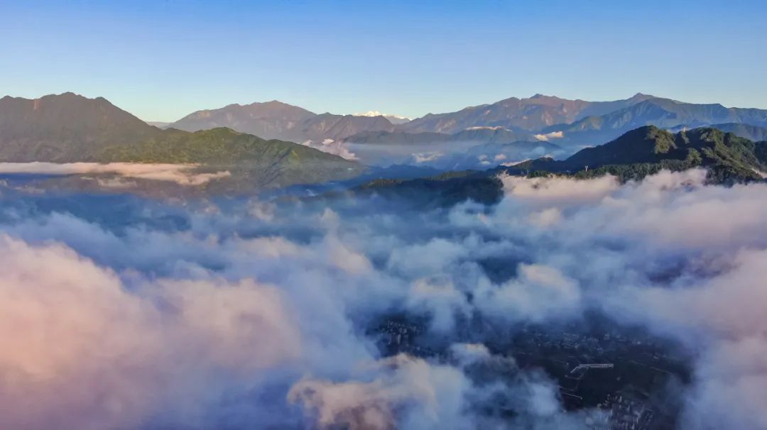 成都向上最新信息,年度向上力量合照