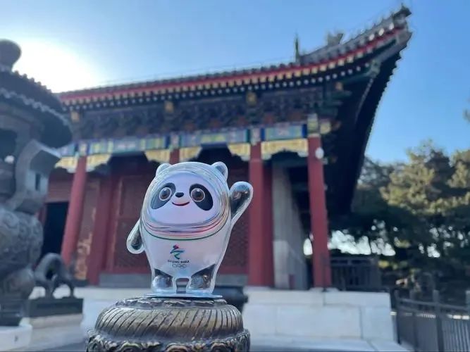 冰墩墩人生阅历与悟性,冰墩墩励志篇