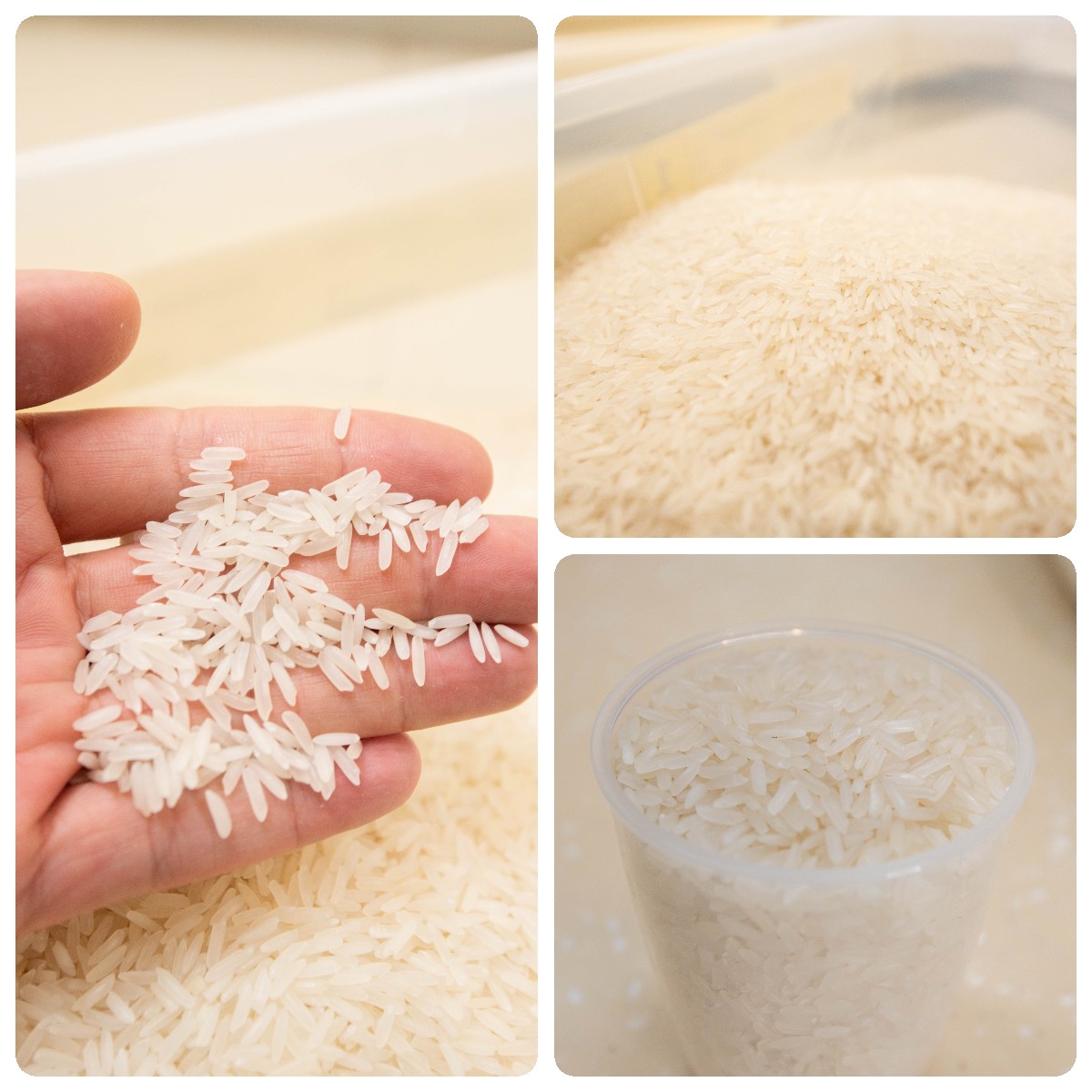 米饭煮的好和电饭煲有关系么,煮了5天的米饭还能吃吗