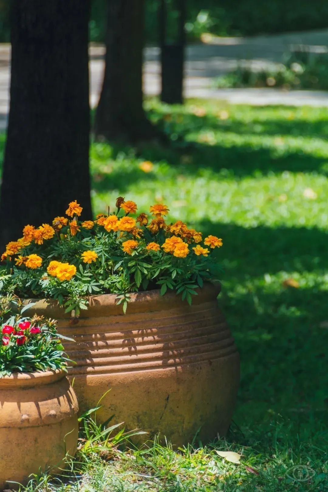 深圳地铁五号线十号线游玩地点,深圳地铁12号线最新最全线路图