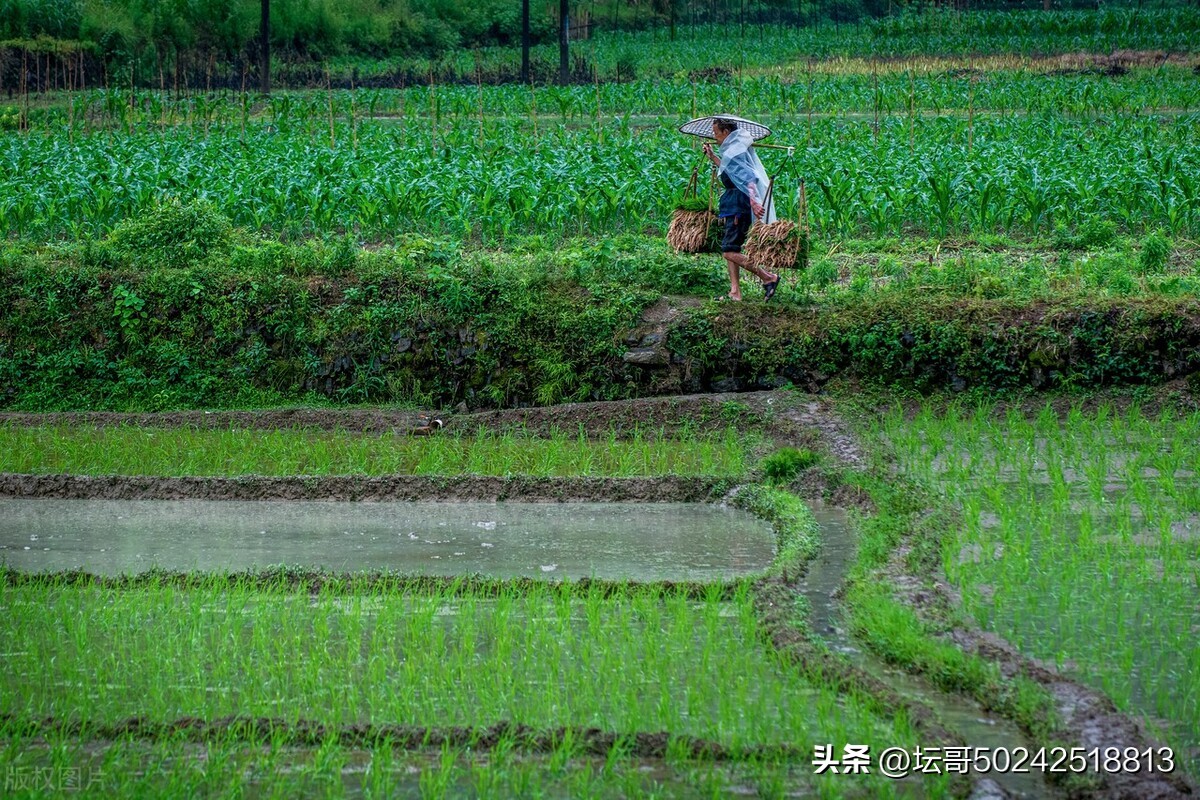 退一步海阔天空真的可以吗,退一步海阔天空的上一句是什么