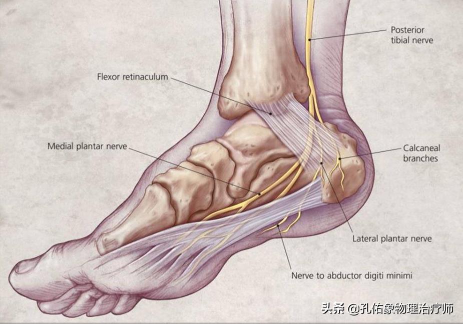 中老年人脚底痛是什么原因,老人脚底板好疼是什么原因