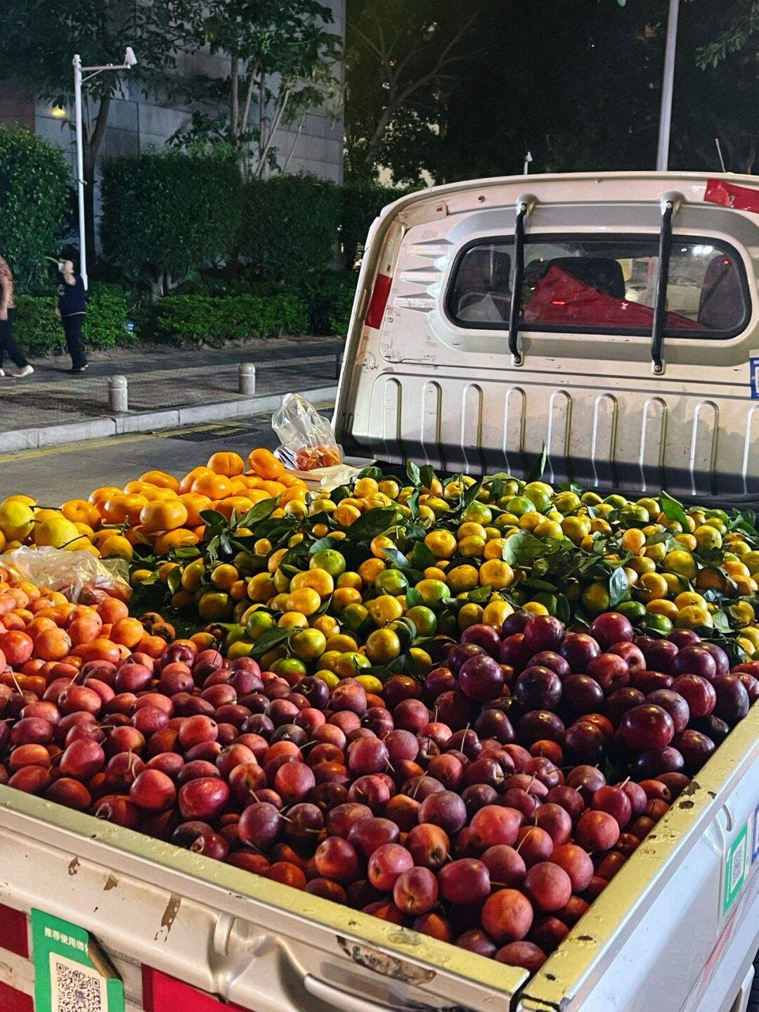 菜农事件是偶然事件，洛阳现在的创业环境已经非常好了