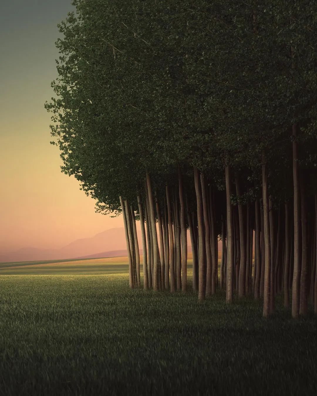 看了他的摄影作品,感觉被“治愈”了