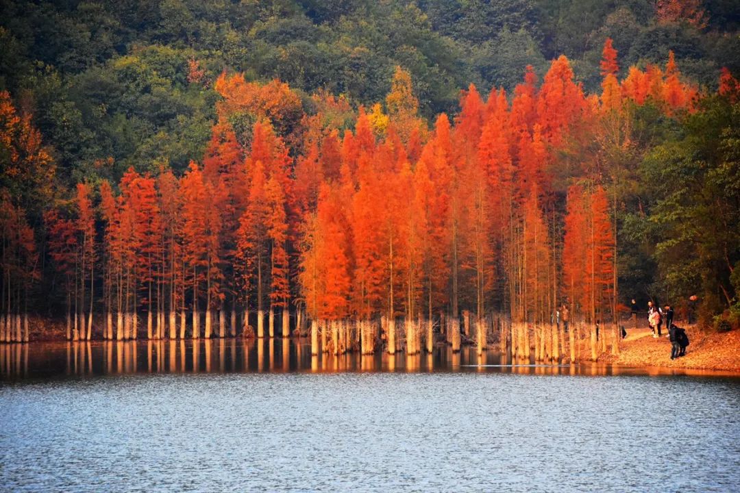 这座被赚钱耽误的浙江小县城，藏着无数吃货惦记的世界美食