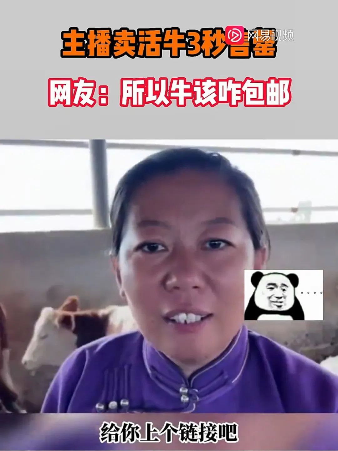 淘宝网红直播前十名,淘宝网红女装店