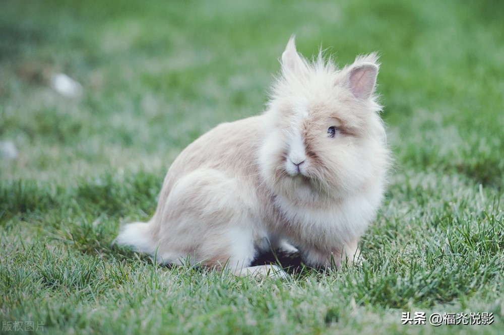 整理旧作：福灮悦影丁酉诗集（2017年）