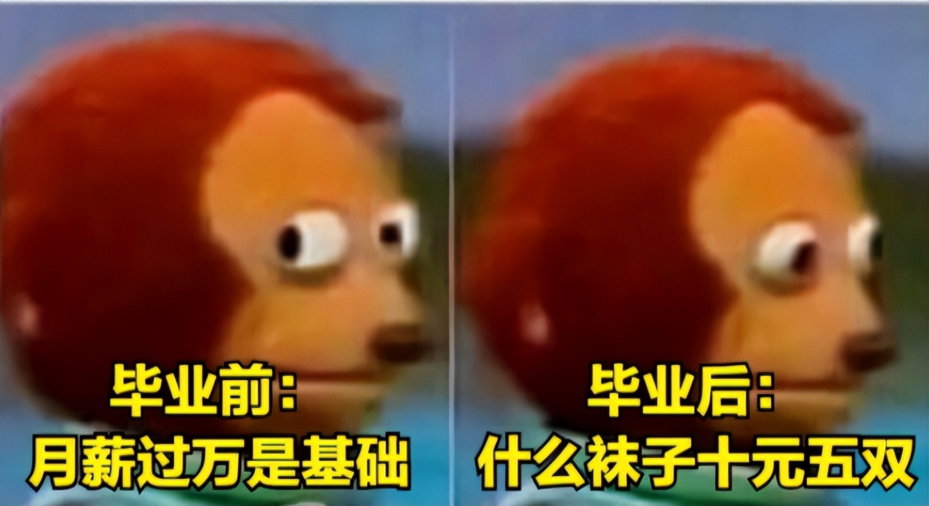 上学和毕业变化搞笑图,大学生用梗图实力调侃毕业生