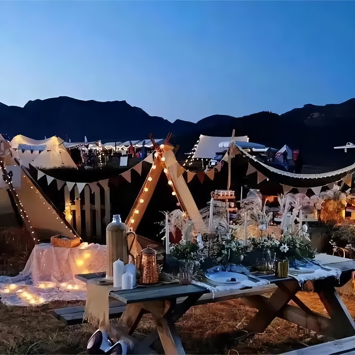 便携户外储能电源市场分析,便携式储能电源海外市场