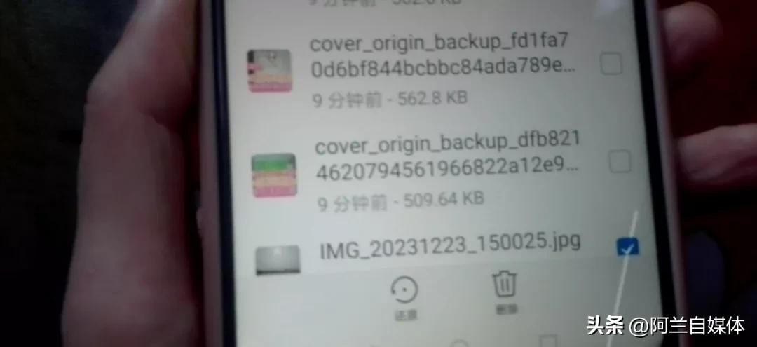 原来删除的相册在哪里找出来,原来手机里的照片被删除