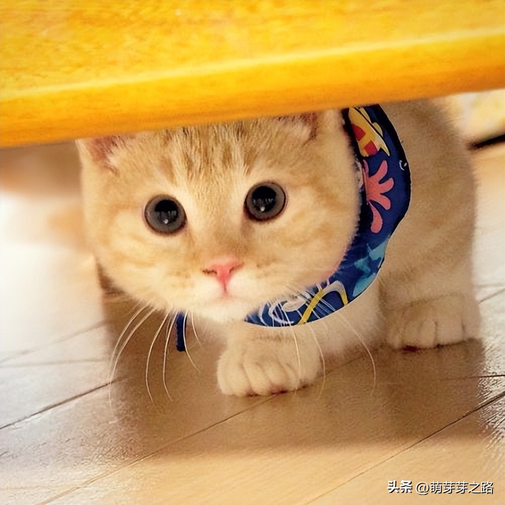 excel有几种常见错误提示方式,excel错误提示及问题解决方法