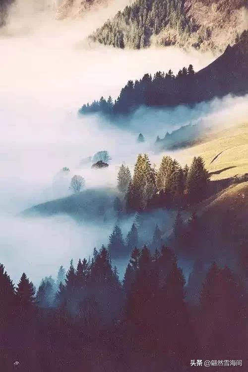 蕴含人生哲理的古诗100首,15首古诗词说尽人生真谛