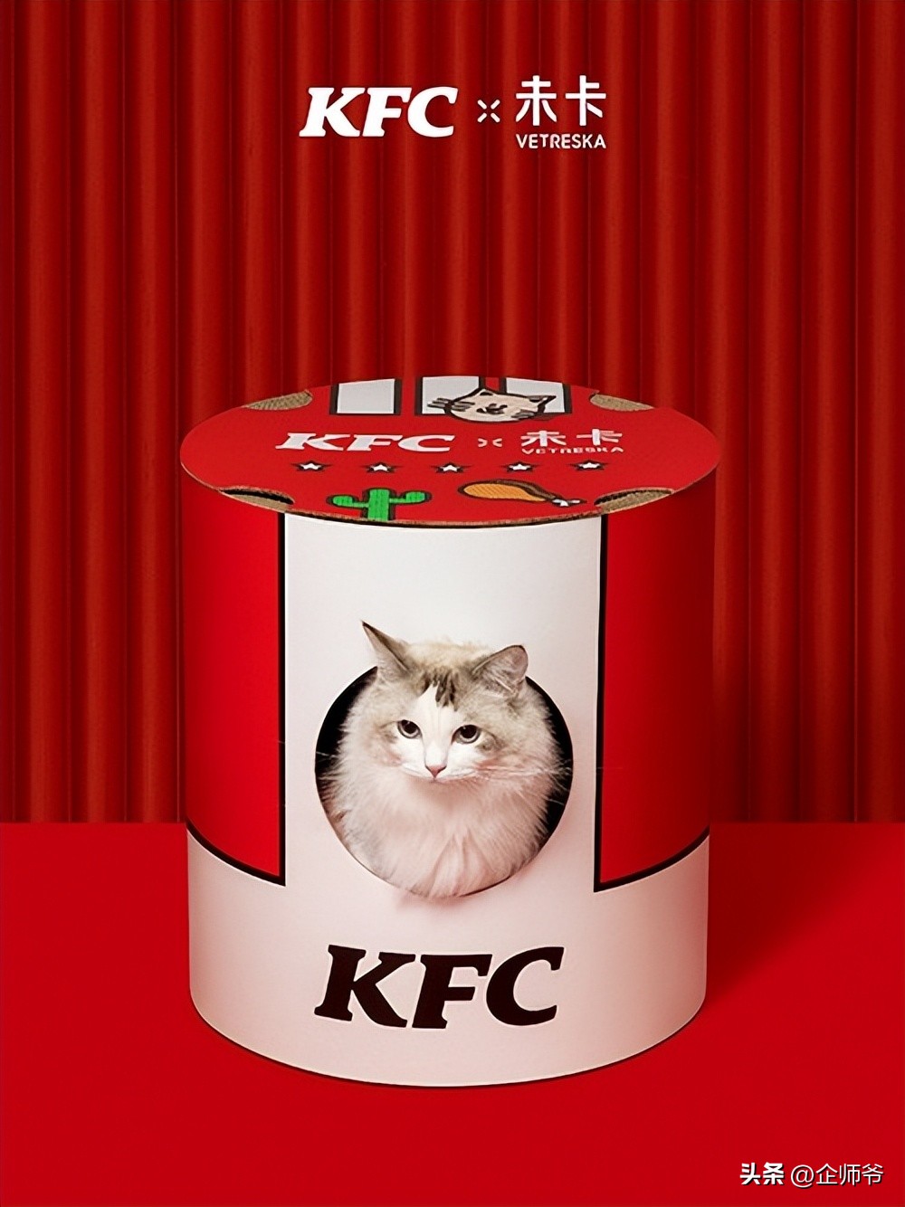 肯德基自制猫窝,肯德基允许带猫吗