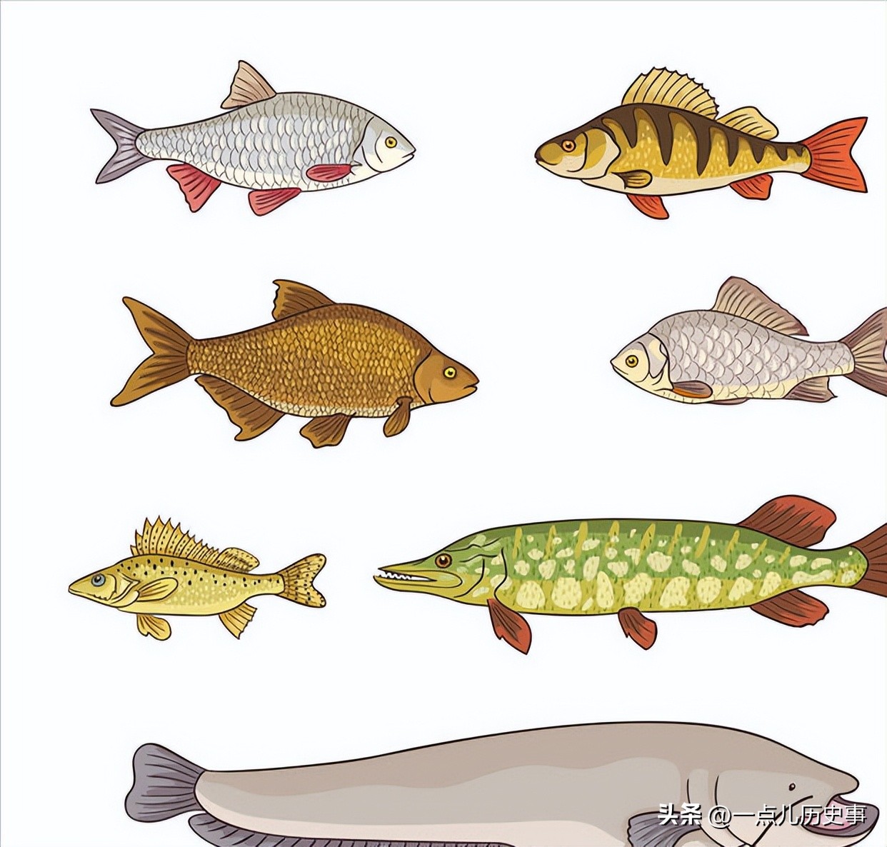 澳大利亚内陆为什么无法生存,澳大利亚是不是不适合生存