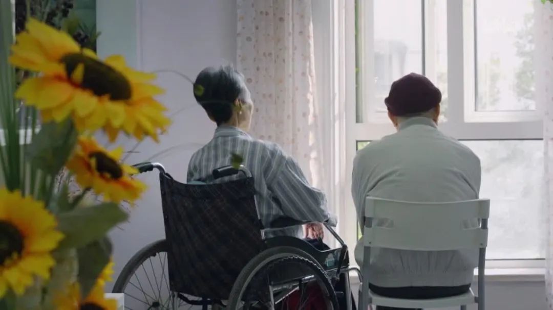 医院里的故事有哪些,医院里面有什么故事