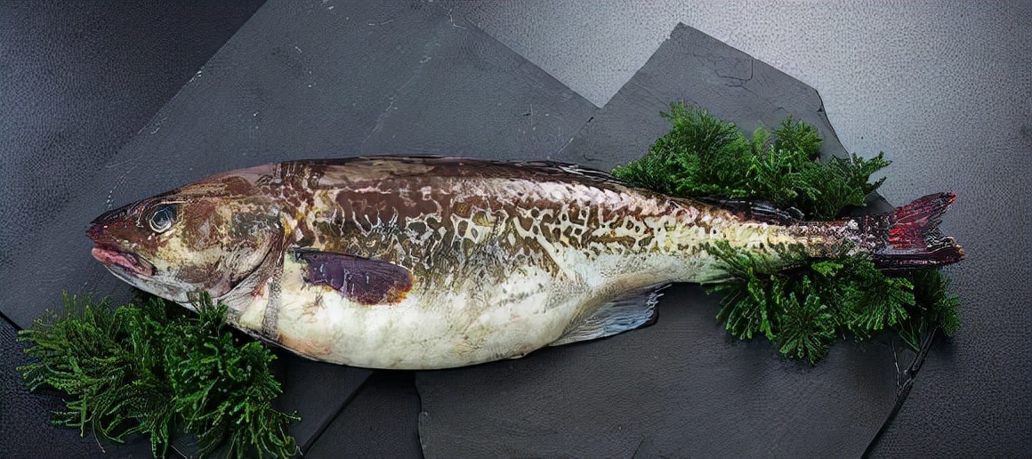 最常见的50种食用鱼吃法和价格,十种常用食用鱼类介绍