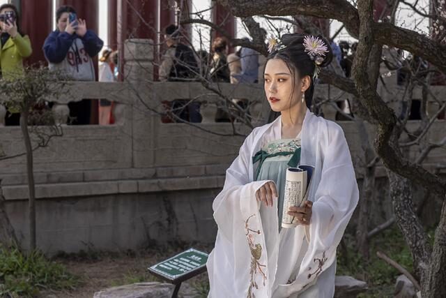 五本幽默诙谐的另类搞笑小说,十部幽默搞笑的网络小说