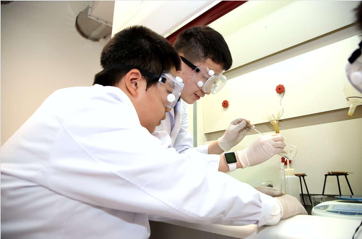 不掐尖是为了优质教育资源均衡,不掐尖