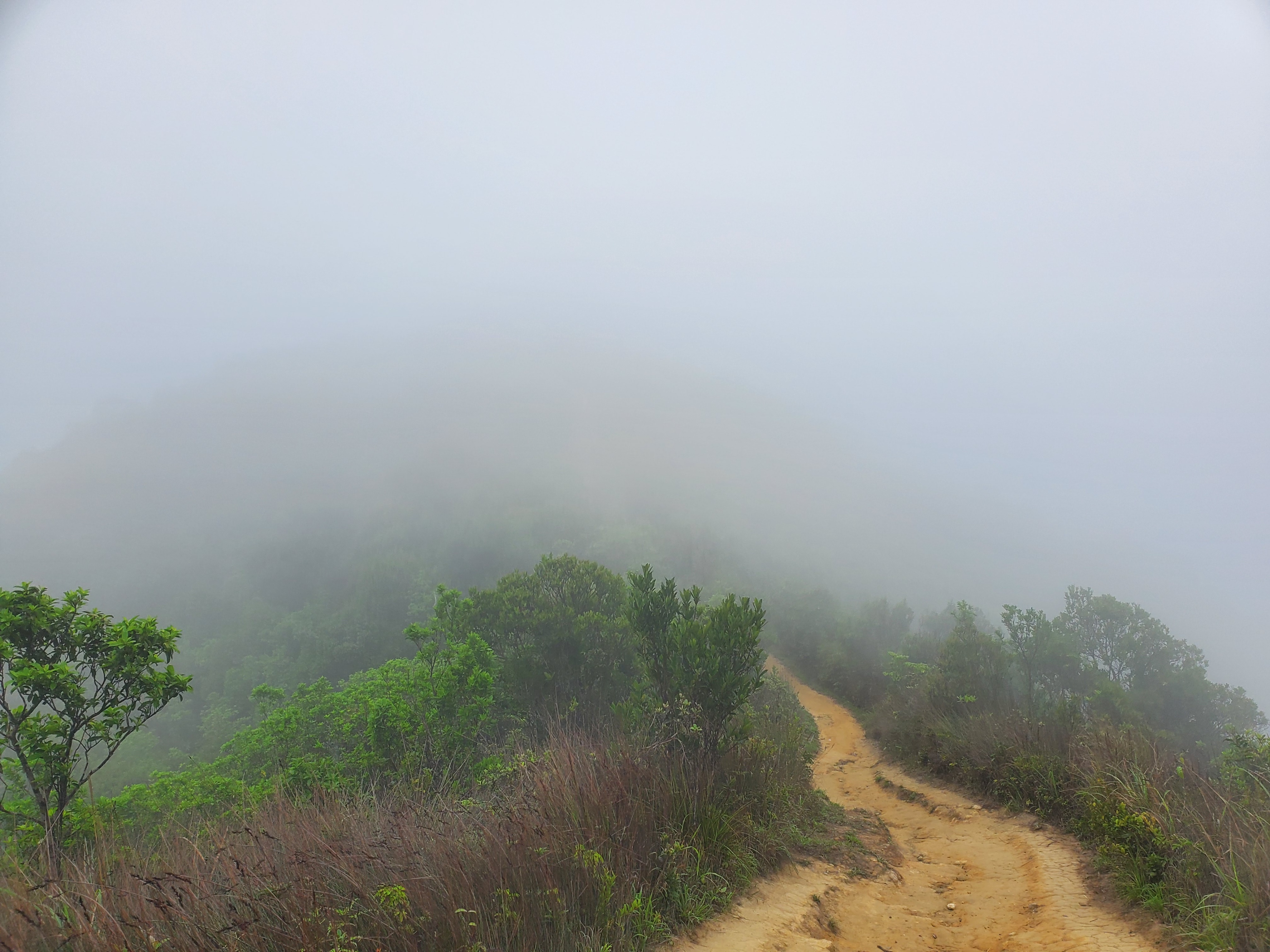 徒步香港大帽山,香港麦径徒步攻略
