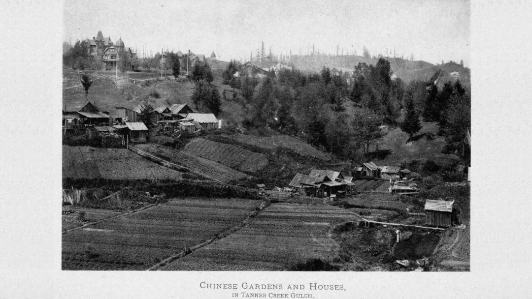 城市扩大了乡村却荒芜了,城市扩张农田