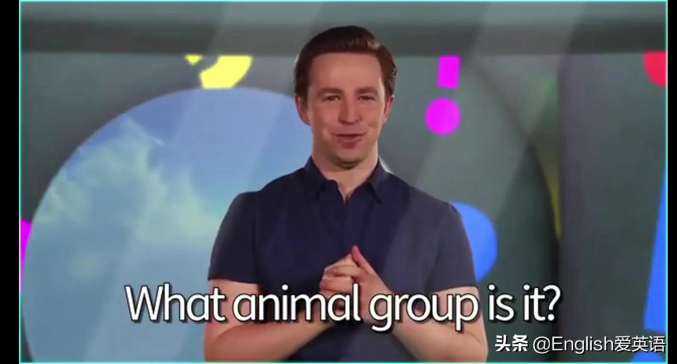 剑桥小学英语教材GuessWhat1-4pdf+音频+视频+测试题+练习册+白板