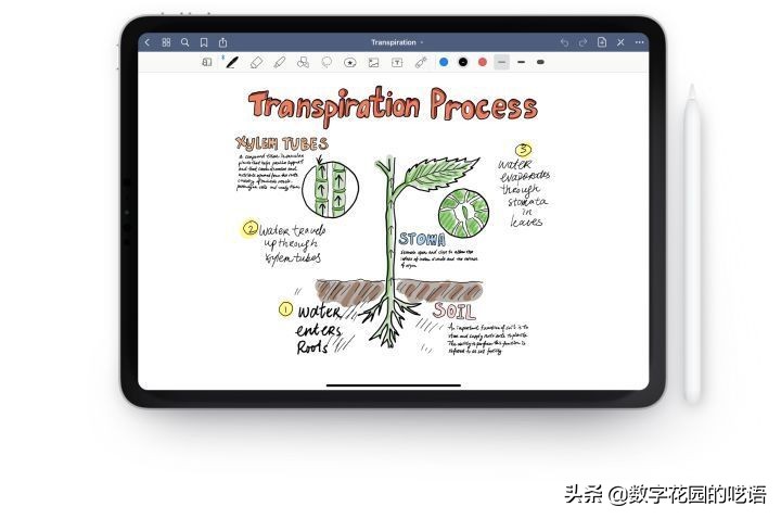 notability和goodnotesonenote哪个好,手写goodnotes笔记