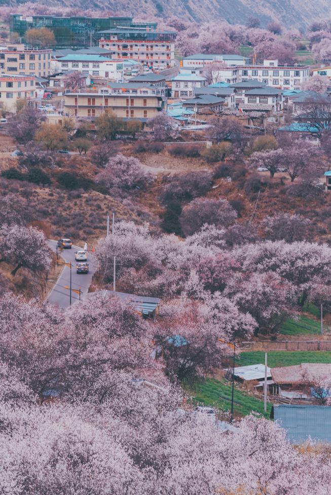 龙泉山看桃花徒步最佳路线,徒步穿越十里桃花漫山遍野