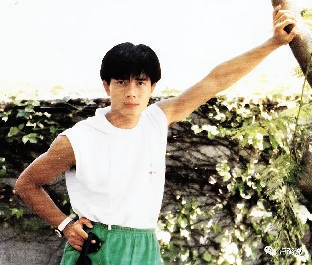 天王隐藏的“大老婆”，把持20亿财产，一生不婚不育，图的是啥？