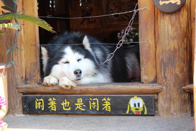 海外调查问卷自己怎么做,海外调查问卷项目全部教程