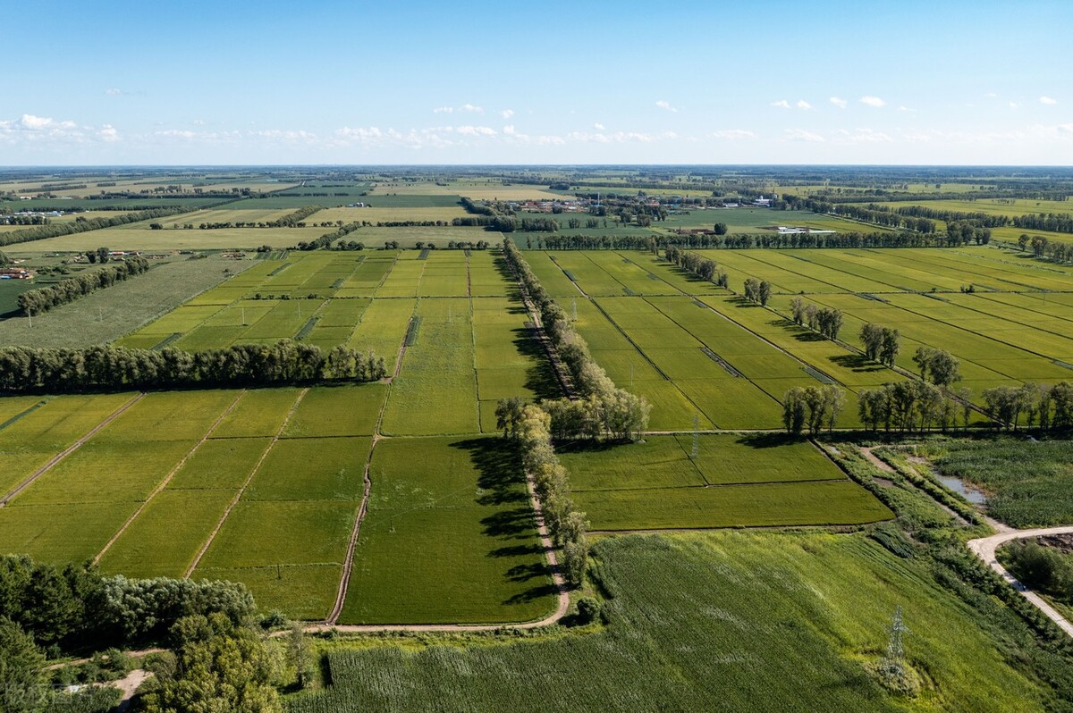 央企国资改革龙头股有哪些,央企改革核心龙头股大全