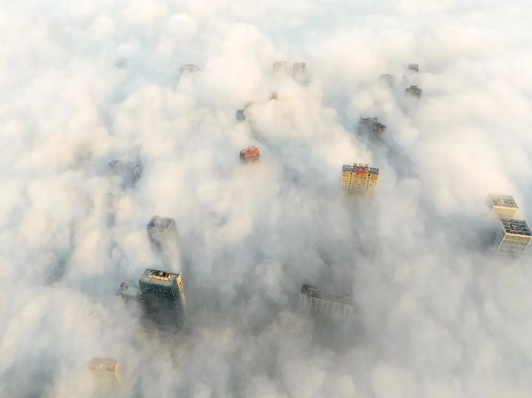 【杂谈】你这么努力用镜头记录世界的意义是什么？