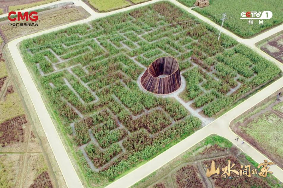 纪录片山水之间之柿饼之乡,探访柿饼制作工厂和传统农家