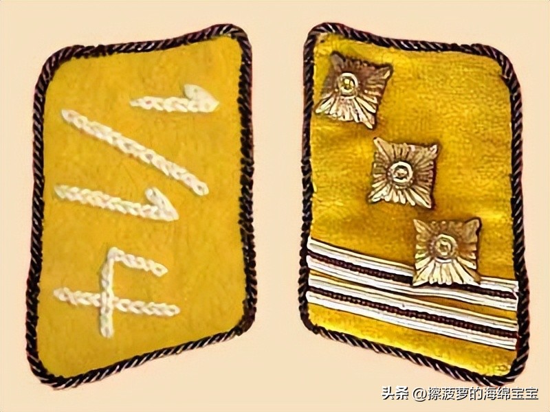 纳粹冲锋队用的什么枪,纳粹德军军衔图解